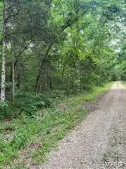 0 Rue Felice, Bonne Terre, MO 63628