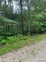0 Rue Felice, Bonne Terre, MO 63628