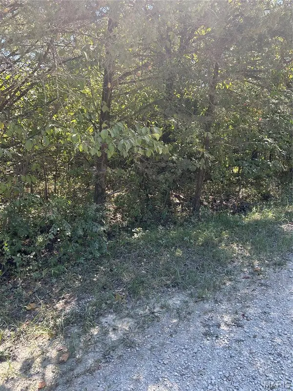 0 Rue Charles, Bonne Terre, MO 63628