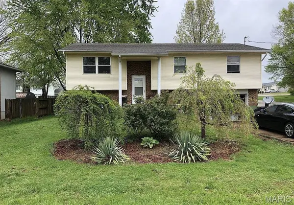 1307 E Chestnut ST, Desloge, MO 63601