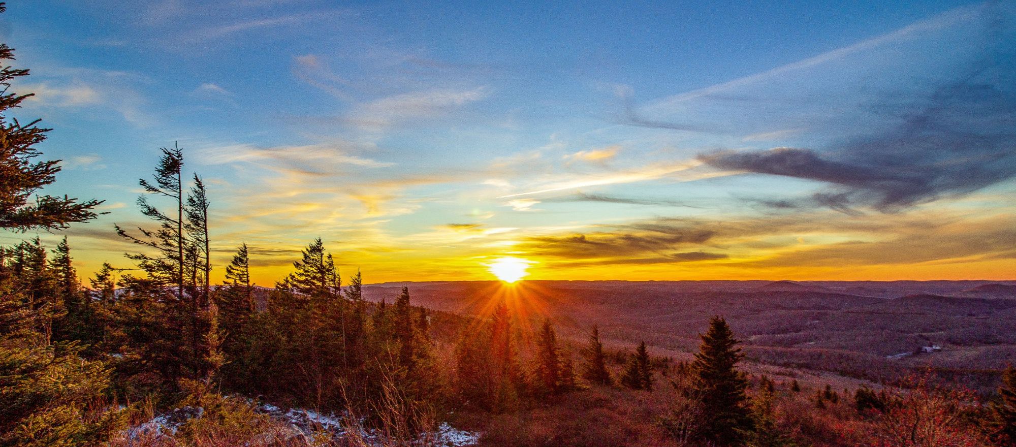 Matt Barlow Realtor (1)