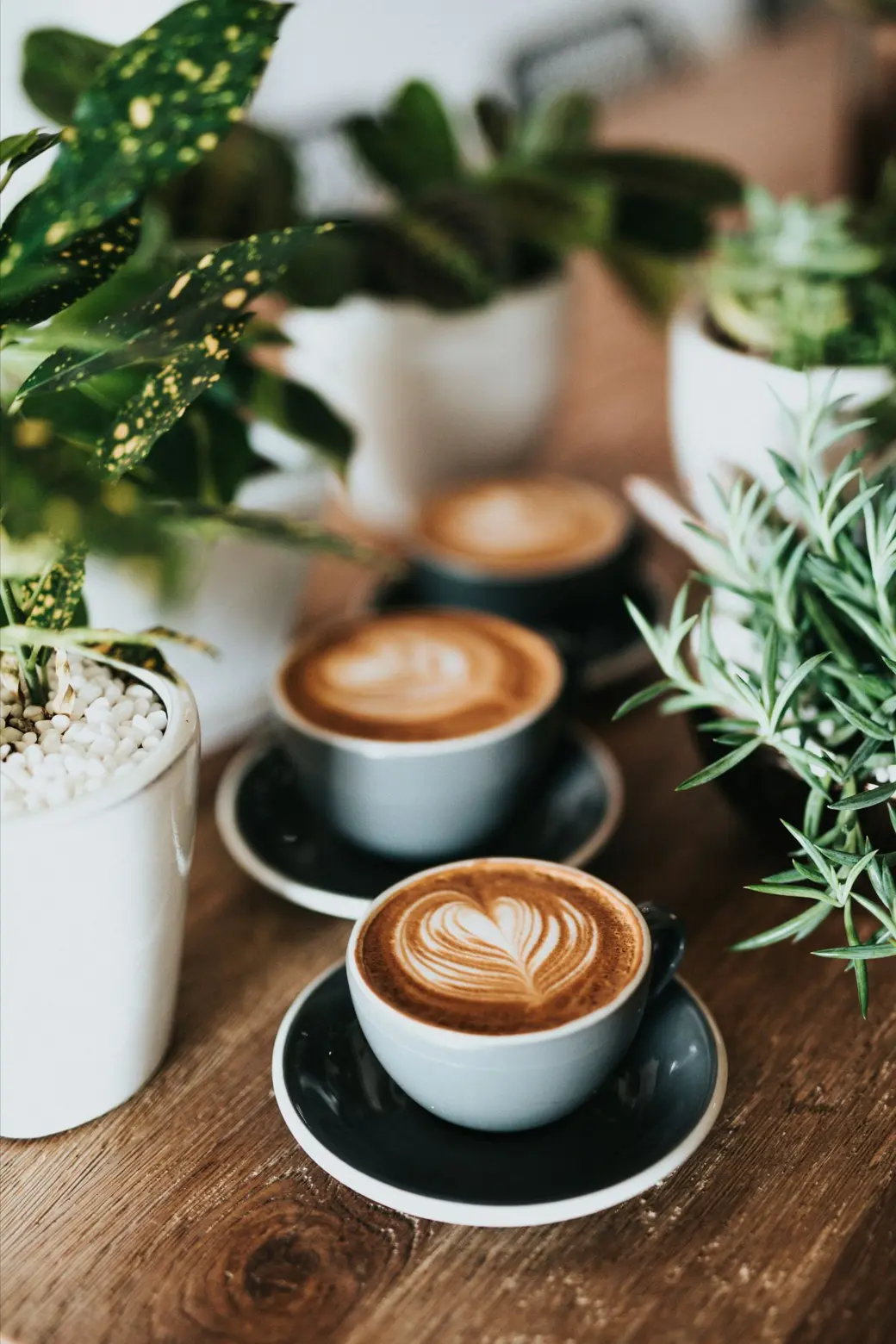 alexa-williams-RaYjMmmaSCA-unsplash