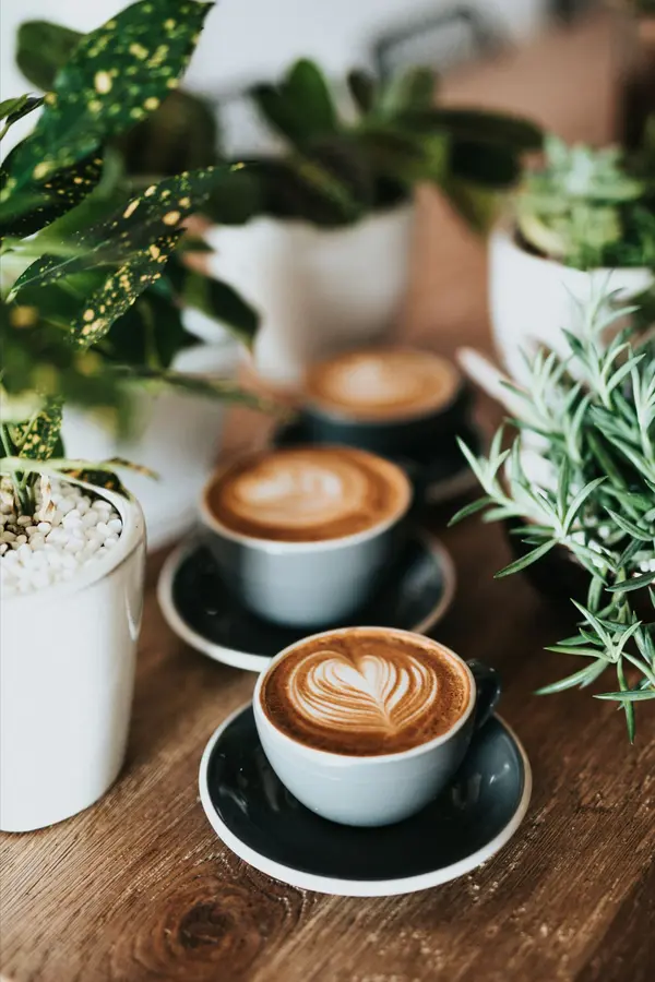 Best Coffee Shops to Work From in STL