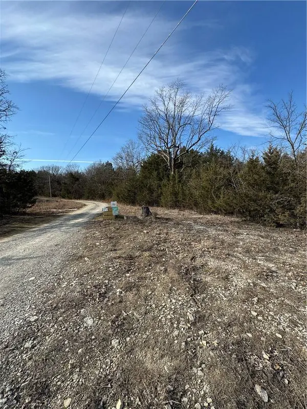 001-00905-001 Thousand Oaks Rd, Yellville, AR 72687