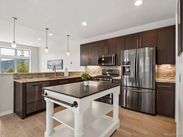 25 Wildernest CT, Silverthorne, CO 80498