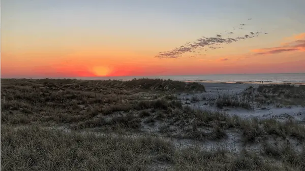 HILTON-HEAD-AREA-46