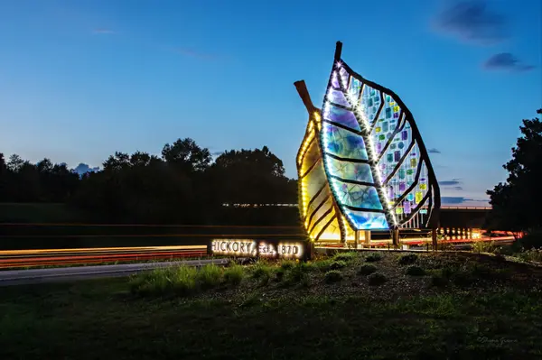 24x36Hickory_leaves-6046