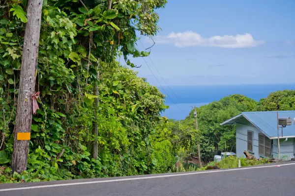 76-5104 HOOHOLO PLACE, Holualoa, HI 96725