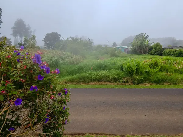 64-5296 NOEKOLO ST, Kamuela, HI 96743
