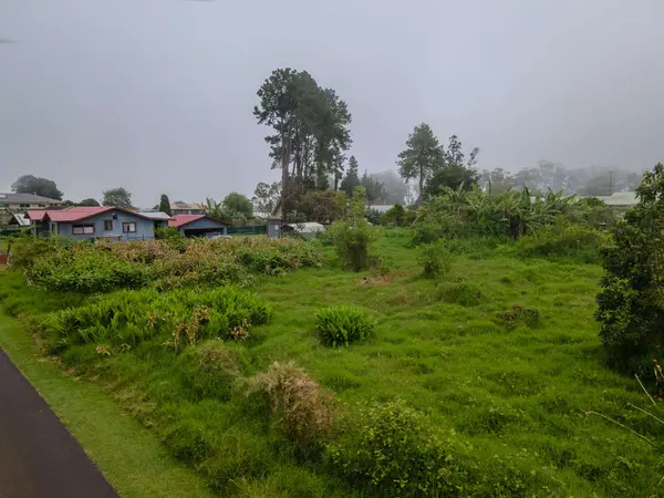 64-5296 NOEKOLO ST, Kamuela, HI 96743