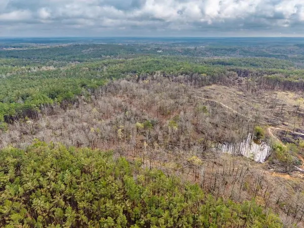 63.20 ac County Road 15, Water Valley, MS 38965