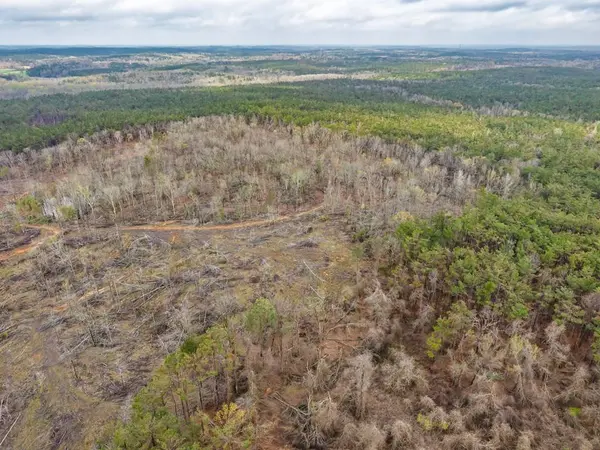 63.20 ac County Road 15, Water Valley, MS 38965