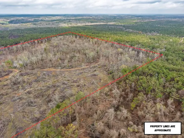 63.20 ac County Road 15, Water Valley, MS 38965