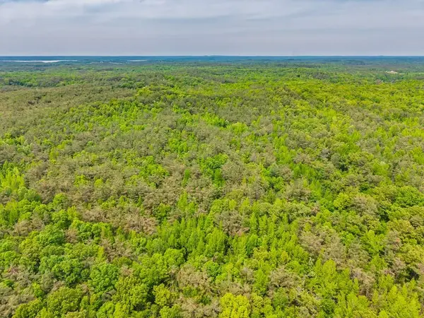 51.7 ac County Road 56, Water Valley, MS 38965