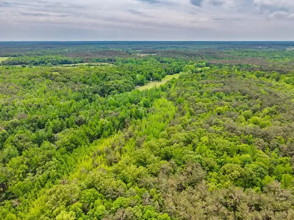 51.7 ac County Road 56, Water Valley, MS 38965