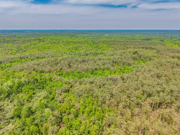 51.7 ac County Road 56, Water Valley, MS 38965