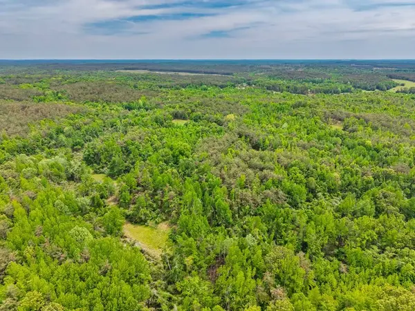 51.7 ac County Road 56, Water Valley, MS 38965