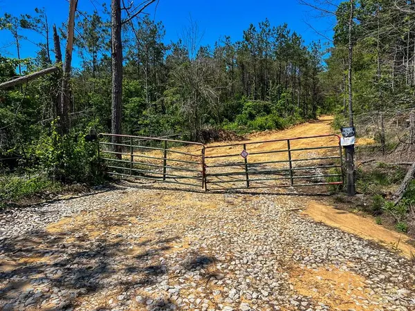 40 ac County Road 118, Water Valley, MS 38965