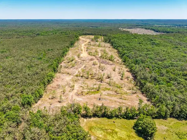 40 ac County Road 118, Water Valley, MS 38965