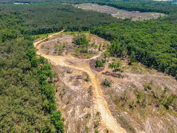 40 ac County Road 118, Water Valley, MS 38965