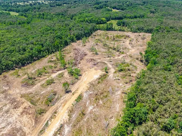 40 ac County Road 118, Water Valley, MS 38965