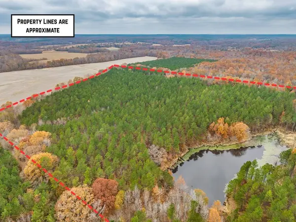 57.9 ac County Road 291, Water Valley, MS 38965
