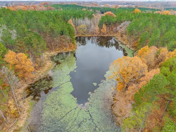 57.9 ac County Road 291, Water Valley, MS 38965