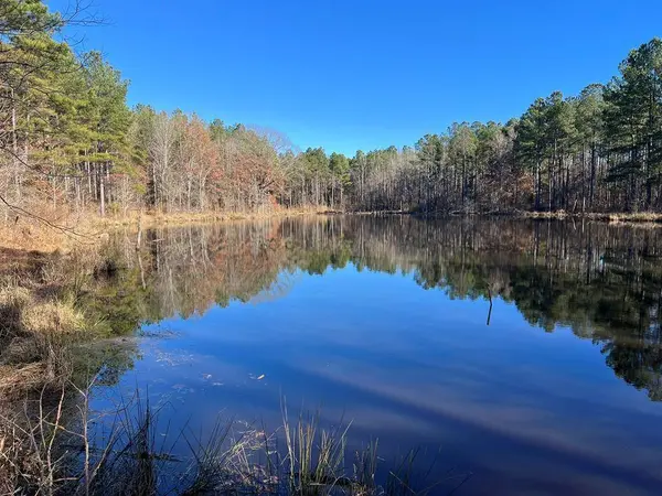 57.9 ac County Road 291, Water Valley, MS 38965