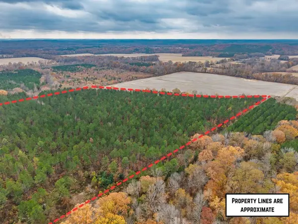 57.9 ac County Road 291, Water Valley, MS 38965