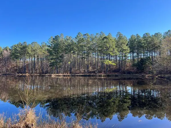 57.9 ac County Road 291, Water Valley, MS 38965