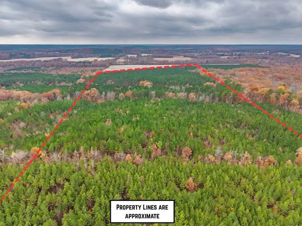 57.9 ac County Road 291, Water Valley, MS 38965