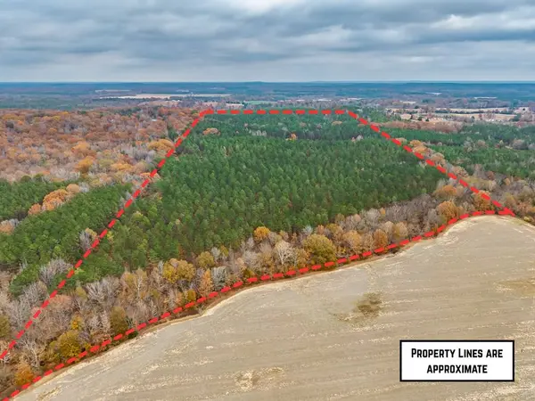 57.9 ac County Road 291, Water Valley, MS 38965