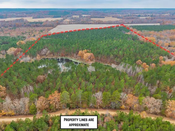 57.9 ac County Road 291, Water Valley, MS 38965