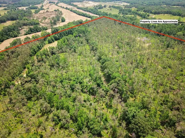 192.5 ac Silo Road, Oakland, MS 38948