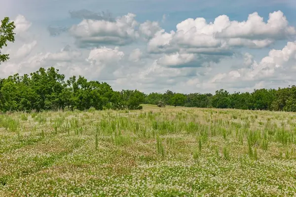 192.5 ac Silo Road, Oakland, MS 38948