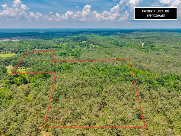 20.5 ac County Road 224, Water Valley, MS 38965