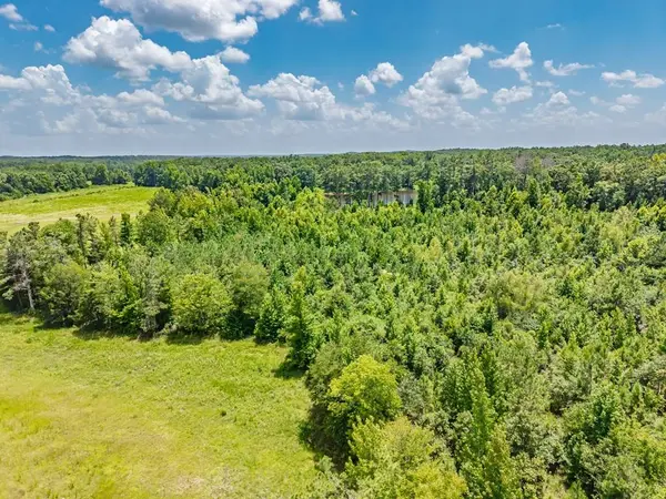 35 ac County Road 90, Water Valley, MS 38965