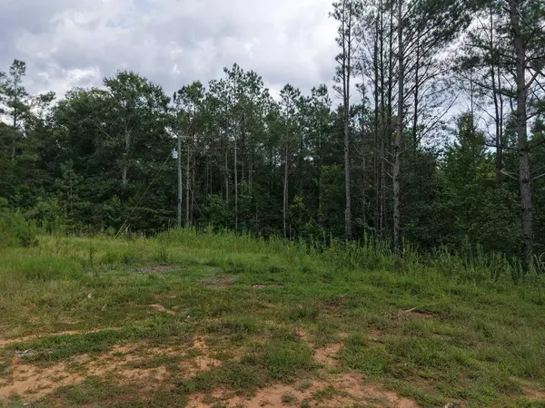 281 Mule Pulling Rd, Belden, MS 38826
