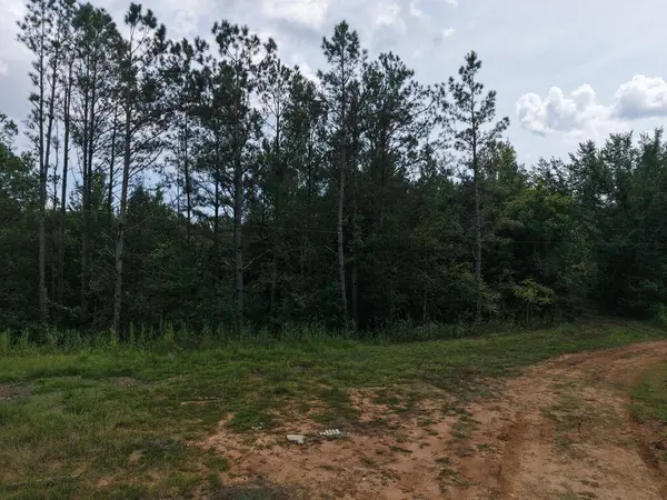 281 Mule Pulling Rd, Belden, MS 38826