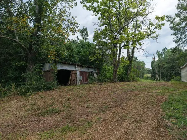 281 Mule Pulling Rd, Belden, MS 38826