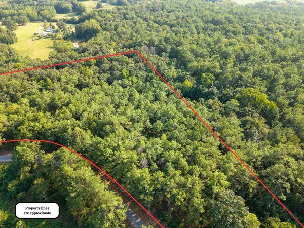 TBD County Road 227, Water Valley, MS 38965