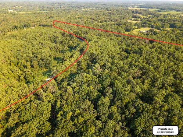TBD County Road 227, Water Valley, MS 38965