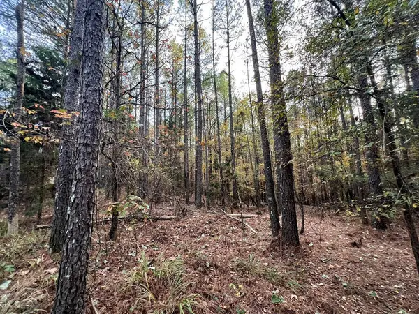 TBD County Road 227, Water Valley, MS 38965