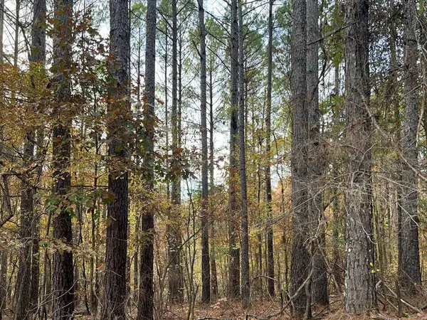 TBD County Road 227, Water Valley, MS 38965