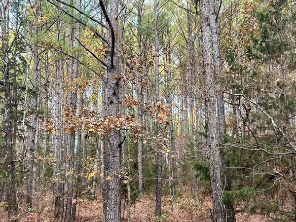 TBD County Road 227, Water Valley, MS 38965