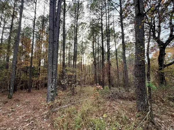 TBD County Road 227, Water Valley, MS 38965