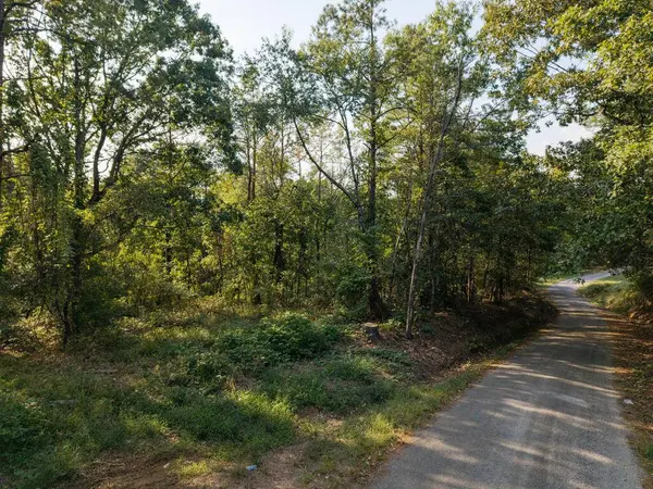 TBD County Road 227, Water Valley, MS 38965