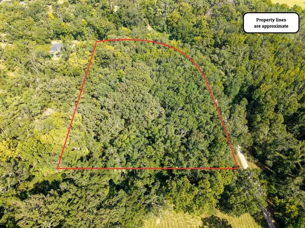 TBD Sissell Street, Water Valley, MS 38965
