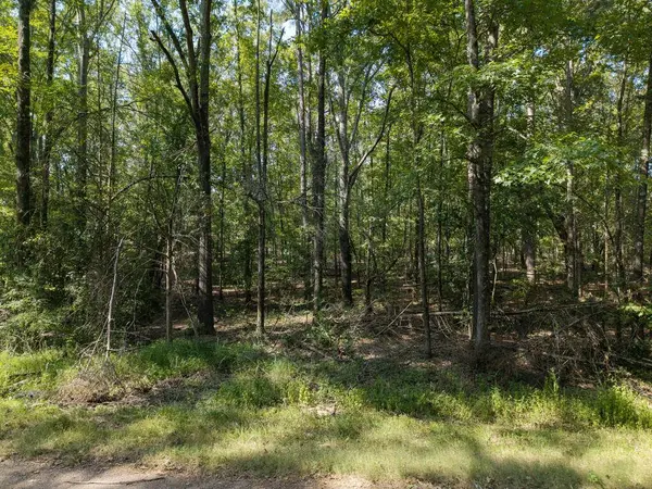 TBD Sissell Street, Water Valley, MS 38965
