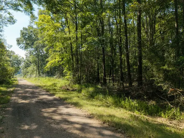 TBD Sissell Street, Water Valley, MS 38965